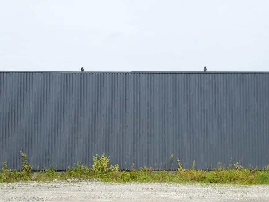 Outdoor view of a gray corrugated metal fence with wild vegetation at its base.